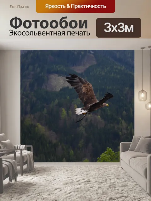 Фотообои Eagle пролетел над лесом