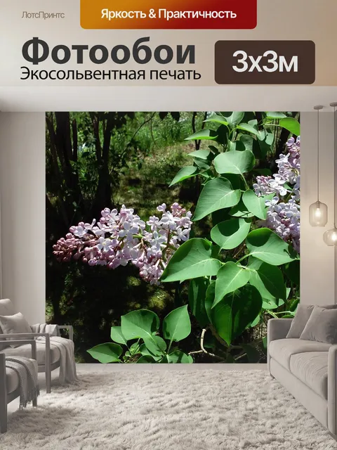 Фотообои Сирень