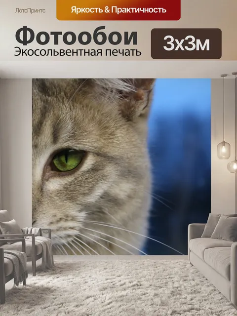 Фотообои Кот