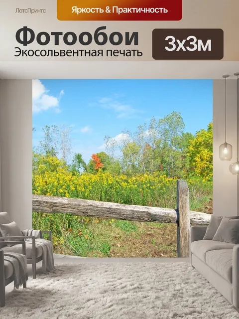 Фотообои Путь в поле