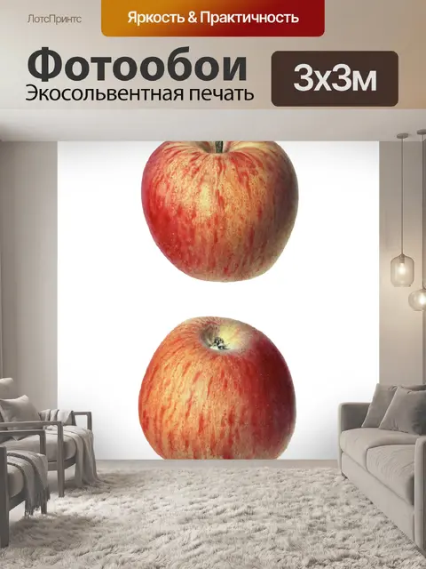 Фотообои Винтажные яблочные фрукты