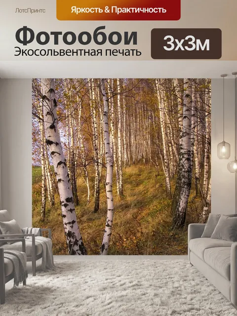 Фотообои Береза