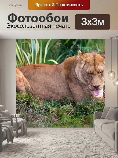 Фотообои Львица питание
