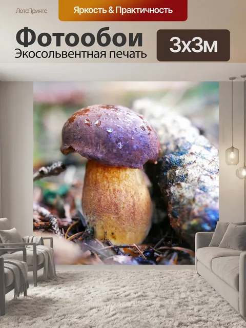 Фотообои Сбор