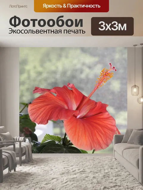 Фотообои Цветок