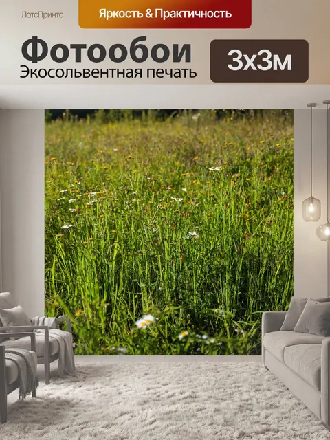 Фотообои трава на заброшенном поле, поросшем дикими цветами и травами, с тенями и атмосферой покоя и заброшенности