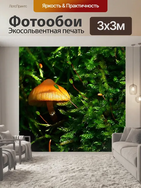 Фотообои Лес