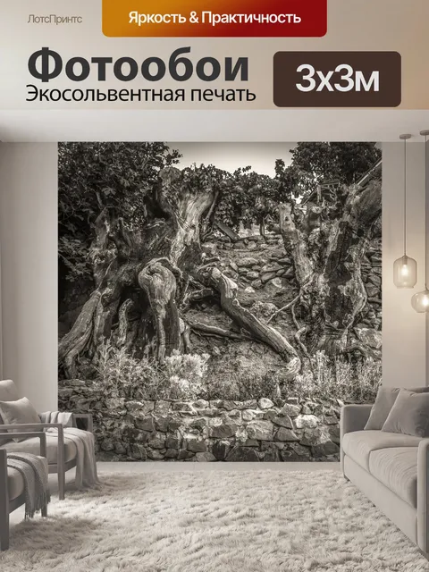 Фотообои Деревья