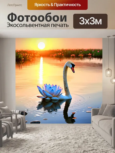 Фотообои на заре, когда солнечные лучи только начинают пронзать горизонт, лебедь плывёт среди цветущих лотосов