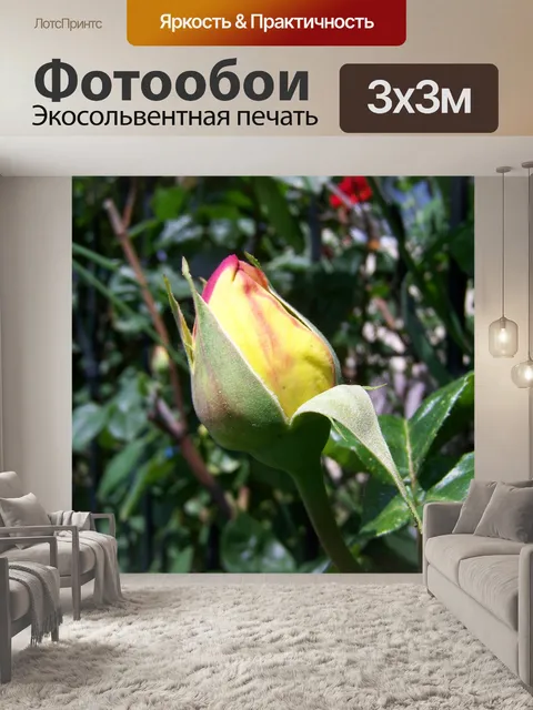 Фотообои Бутоны роз