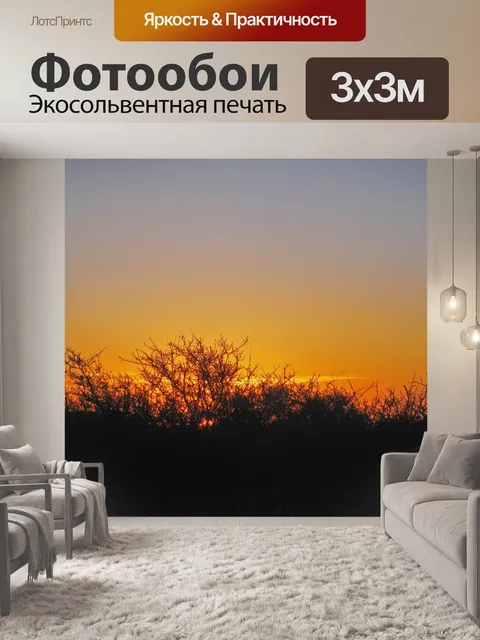 Фотообои закат в Африке