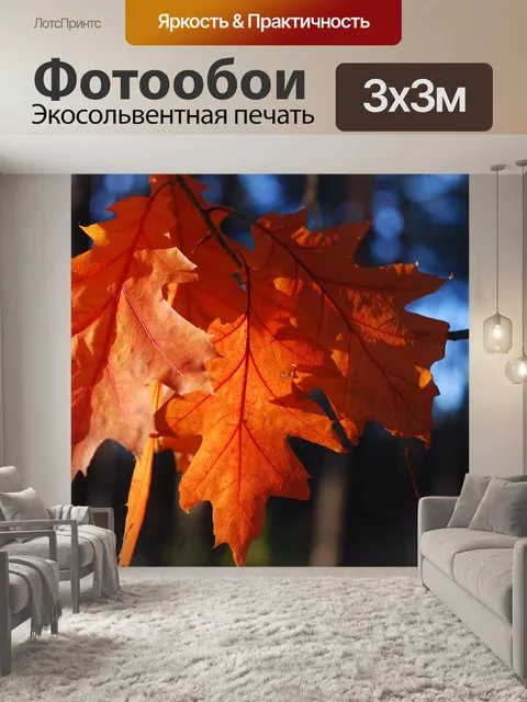 Фотообои Лес