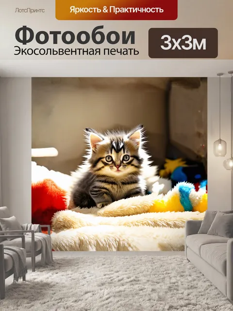 Фотообои мягкий, пушистый котенок с маленькими ушами удобно устроился на большом, мягком пледе