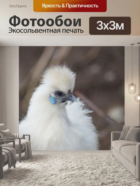 Фотообои Seidenhuhn