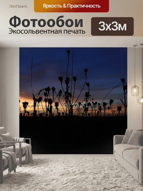 Фотообои Польша
