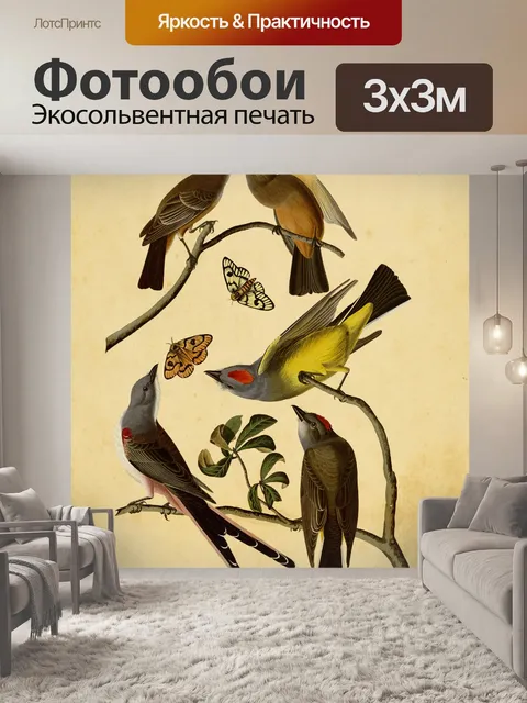 Фотообои Мухоловка птицы старинный клипарт
