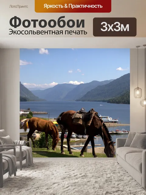 Фотообои Кони