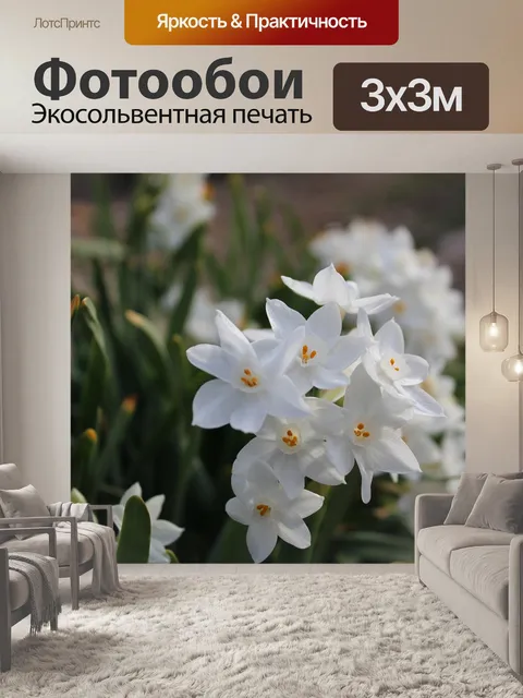 Фотообои Цветы