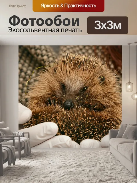 Фотообои Ежик