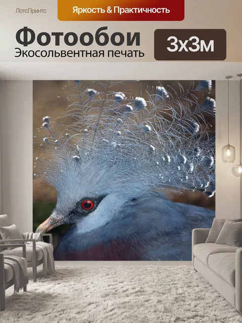 Фотообои Великолепная птица