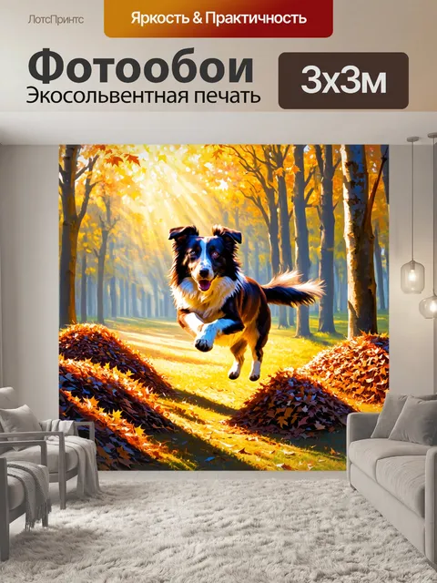 Фотообои в осеннем лесу, бордер-колли, который весело прыгал по горкам листвы