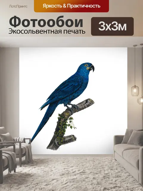 Фотообои Искусство Птицы Винтажный Ара