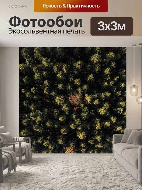 Фотообои Черный лес