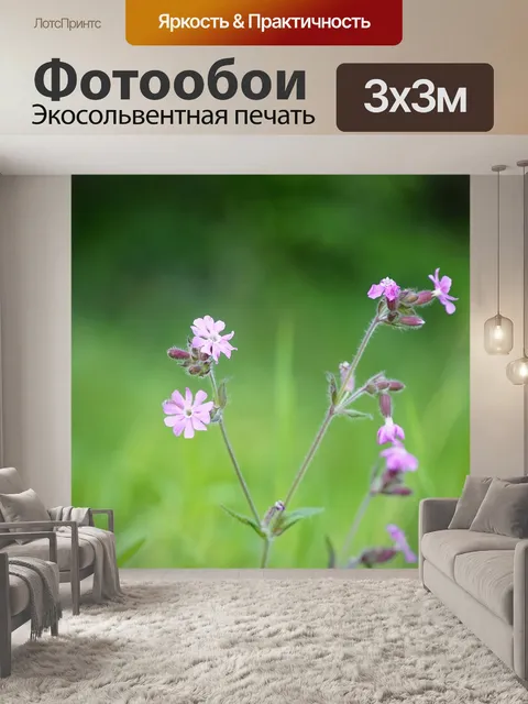 Фотообои Лес