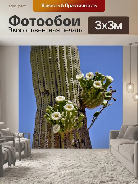 Фотообои Сагуаро Кактус Цветы