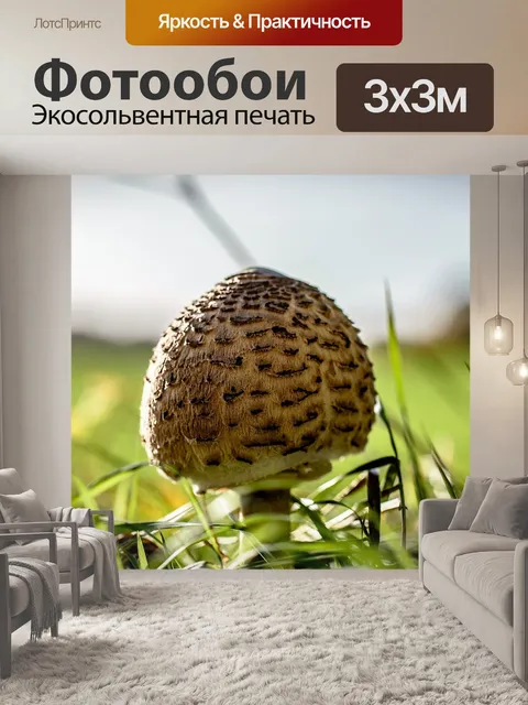 Фотообои Экран грибок