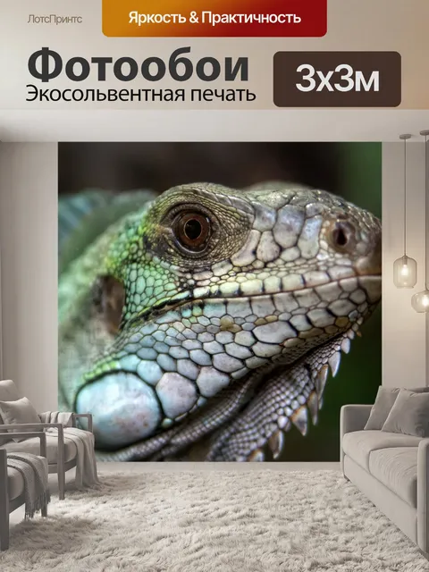 Фотообои ящерица