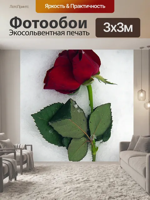 Фотообои Ветреница бланда