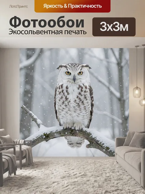 Фотообои Белая сова на снежной ветке