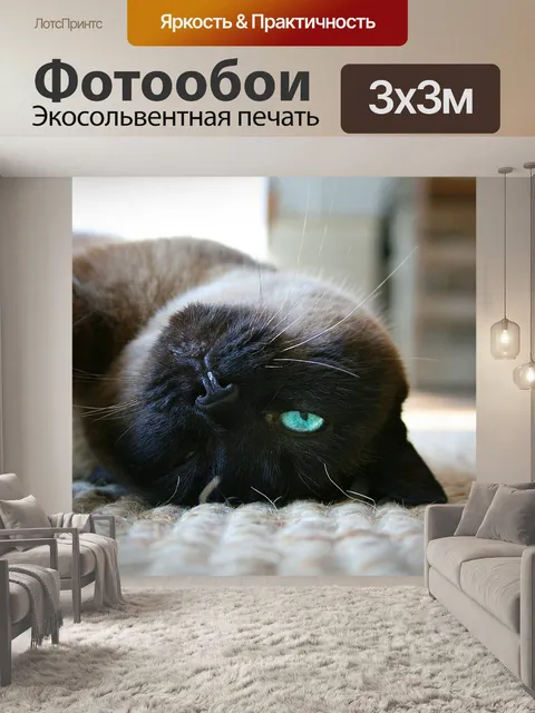 Фотообои Кошка
