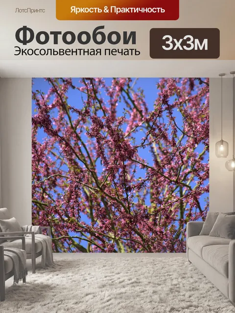Фотообои Природа