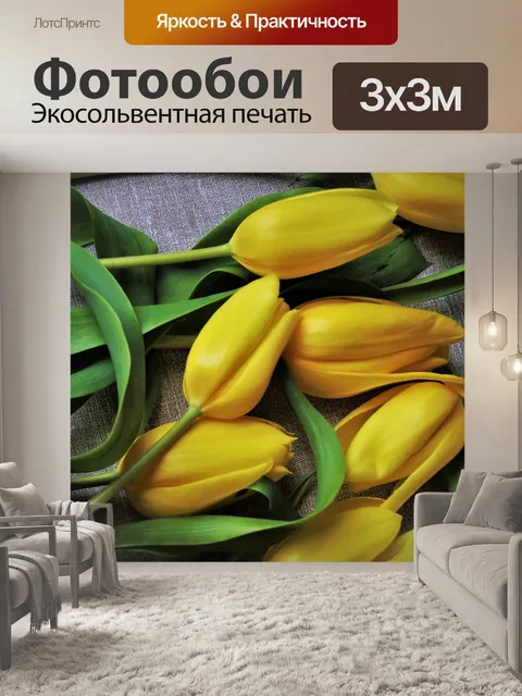 Фотообои Тюльпаны