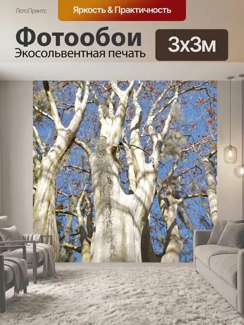 Фотообои Белый