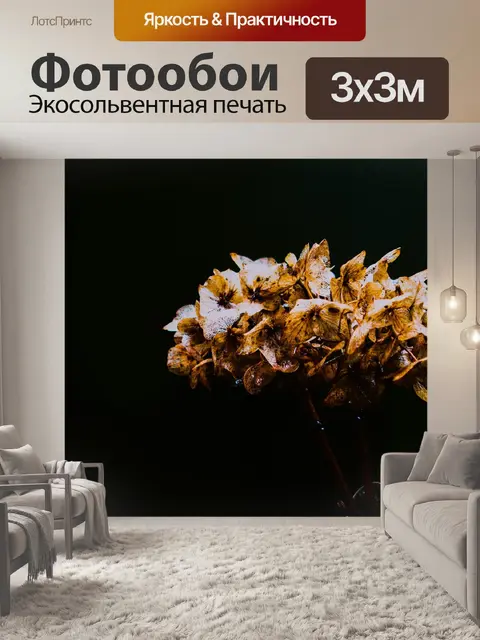 Фотообои Высушенные цветки