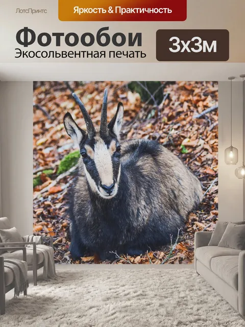 Фотообои Замша