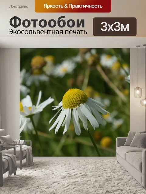Фотообои Цветы