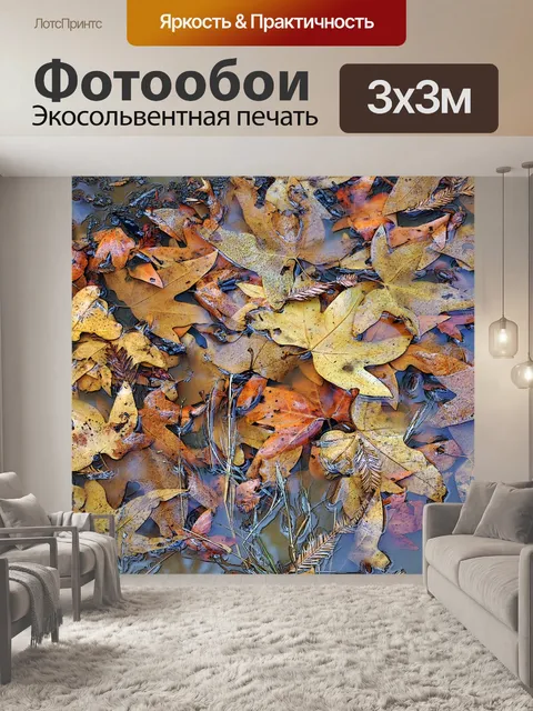 Фотообои Плавающий Осенние листья