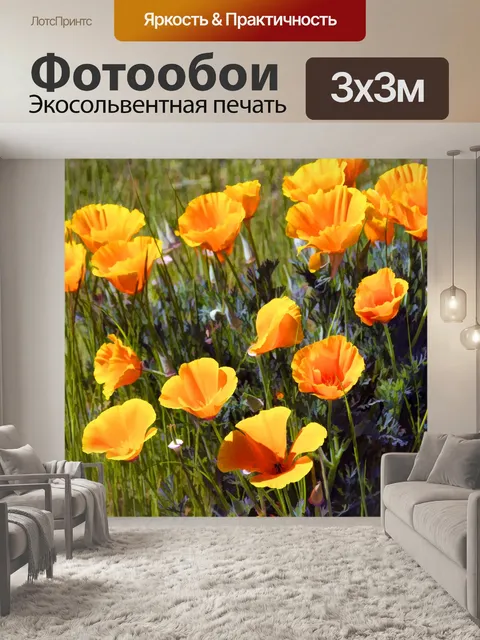 Фотообои маки