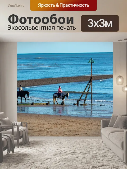 Фотообои Лошади