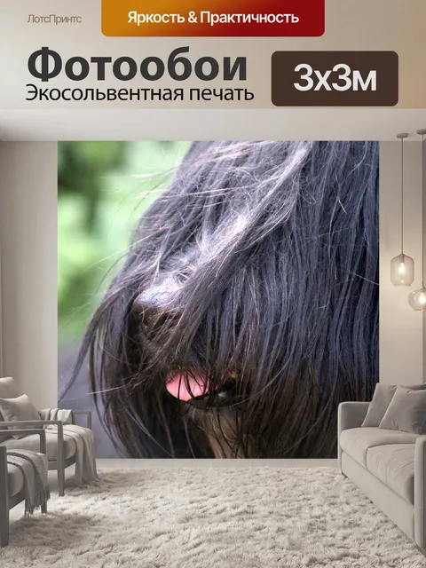 Фотообои Красивое животное