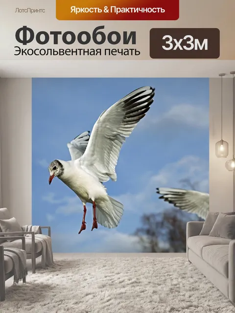 Фотообои Летающий