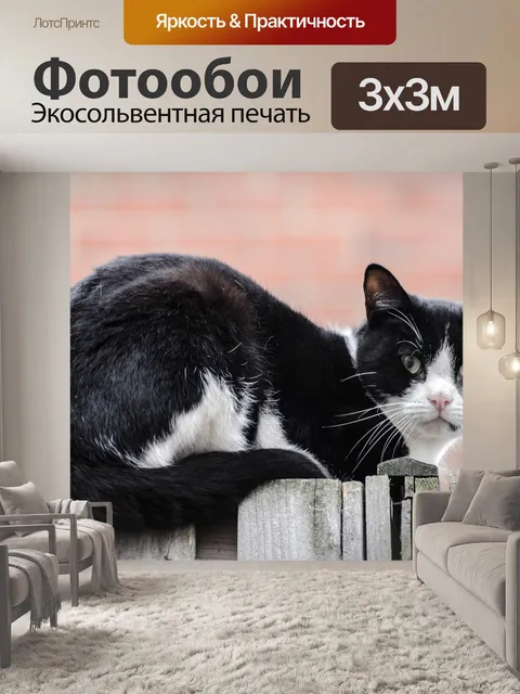 Фотообои Кошка на заборе