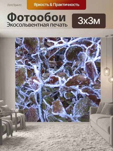 Фотообои Иней