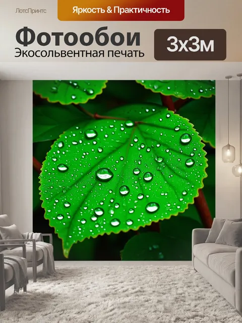 Фотообои текстура капли воды на листьях
