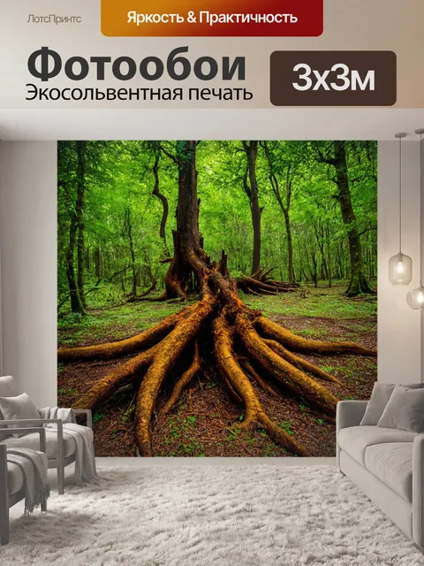 Фотообои с древними пнями и корнями, создающими уникальный ландшафт