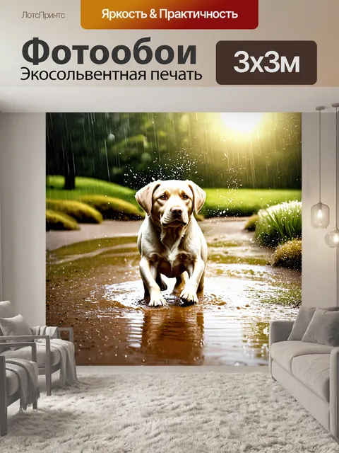 Фотообои пейзаж с лабрадором, играющим в грязной луже после дождя, капли воды бомбардируют его шерсть и оставляют…